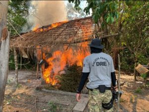 A Polícia Federal deflagrou, no período compreendido entre os dias 27 de julho e 07 de agosto de 2020, uma nova etapa da Operação Muçambê III, objetivando a erradicação de cultivos ilícitos de maconha (Cannabis Sativa).