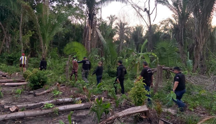 Um homem foi preso na última quarta-feira (18), na zona rural do município de Cajari (interior do Maranhão), por suspeita de ter cometido o crime de feminicídio contra a companheira.